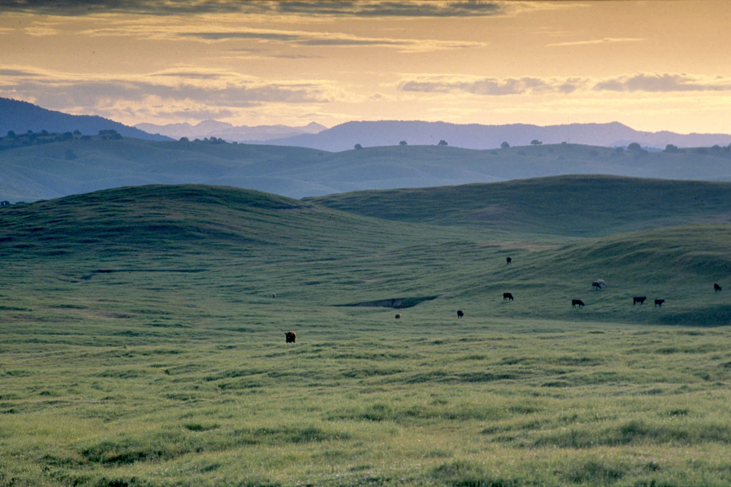 Rebalancing Water and Land Use for Nature and People in California