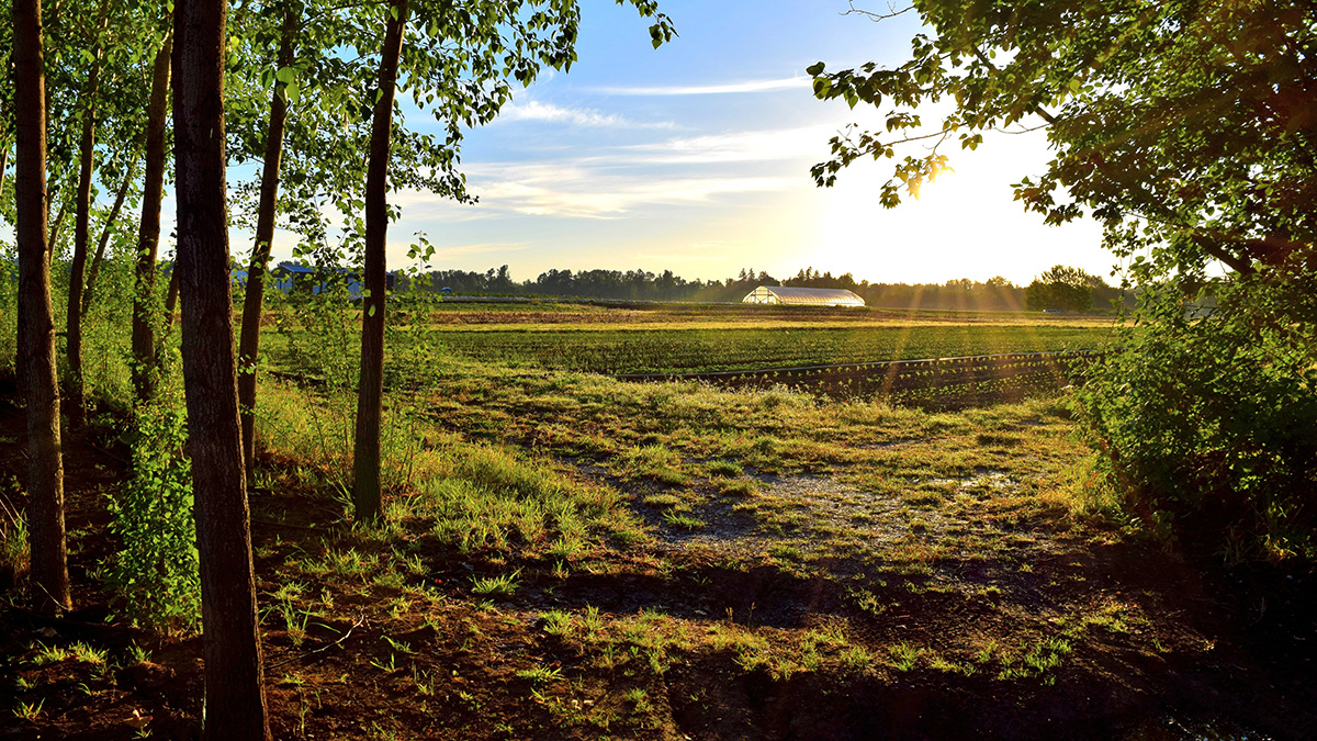 New Study Finds People and Nature Thrive With Diversified Farming